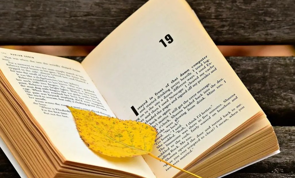 Tips Menulis Novel yang Berkualitas untuk Pemula Tips Menulis Novel yang Berkualitas untuk Pemula